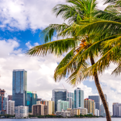 Miami fue el hogar de la salida tecnológica más grande del mundo en 2022